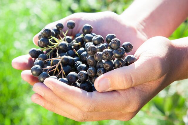 Galeriebild 18