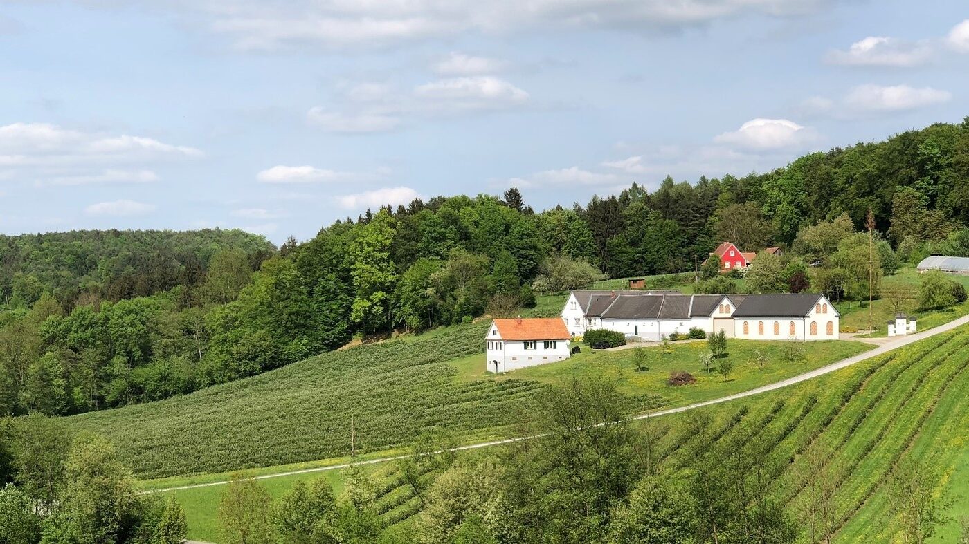 Der Aroniahof Mayr inmitten der Aroniafelder